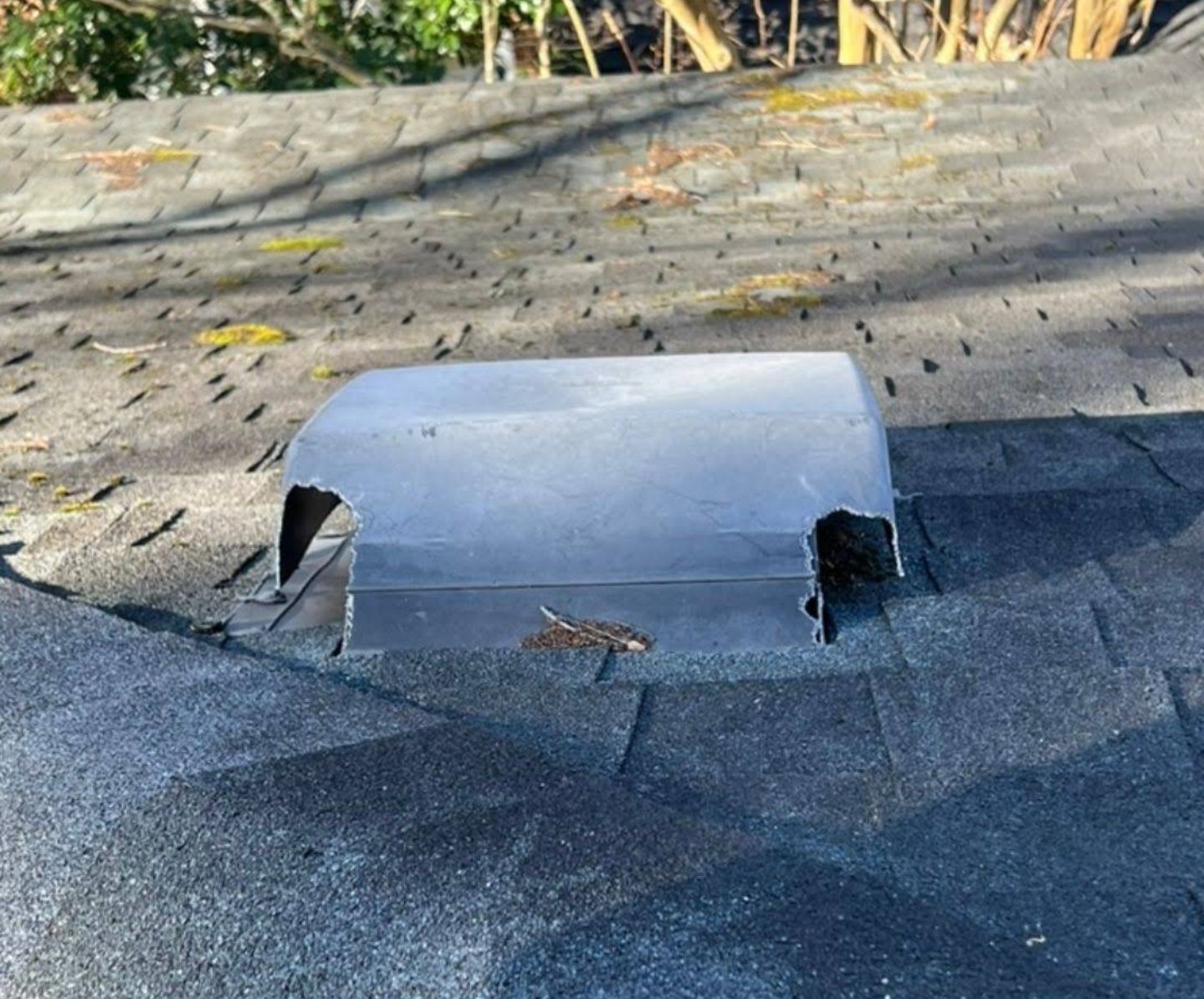 Chewed roof vent found on a house