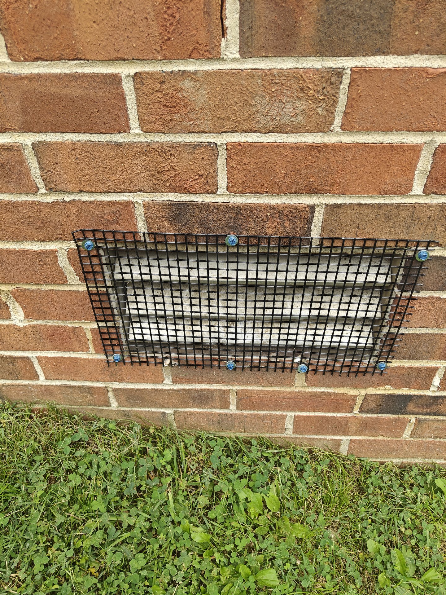 Brick foundation vent sealed with rodent exclusion mesh