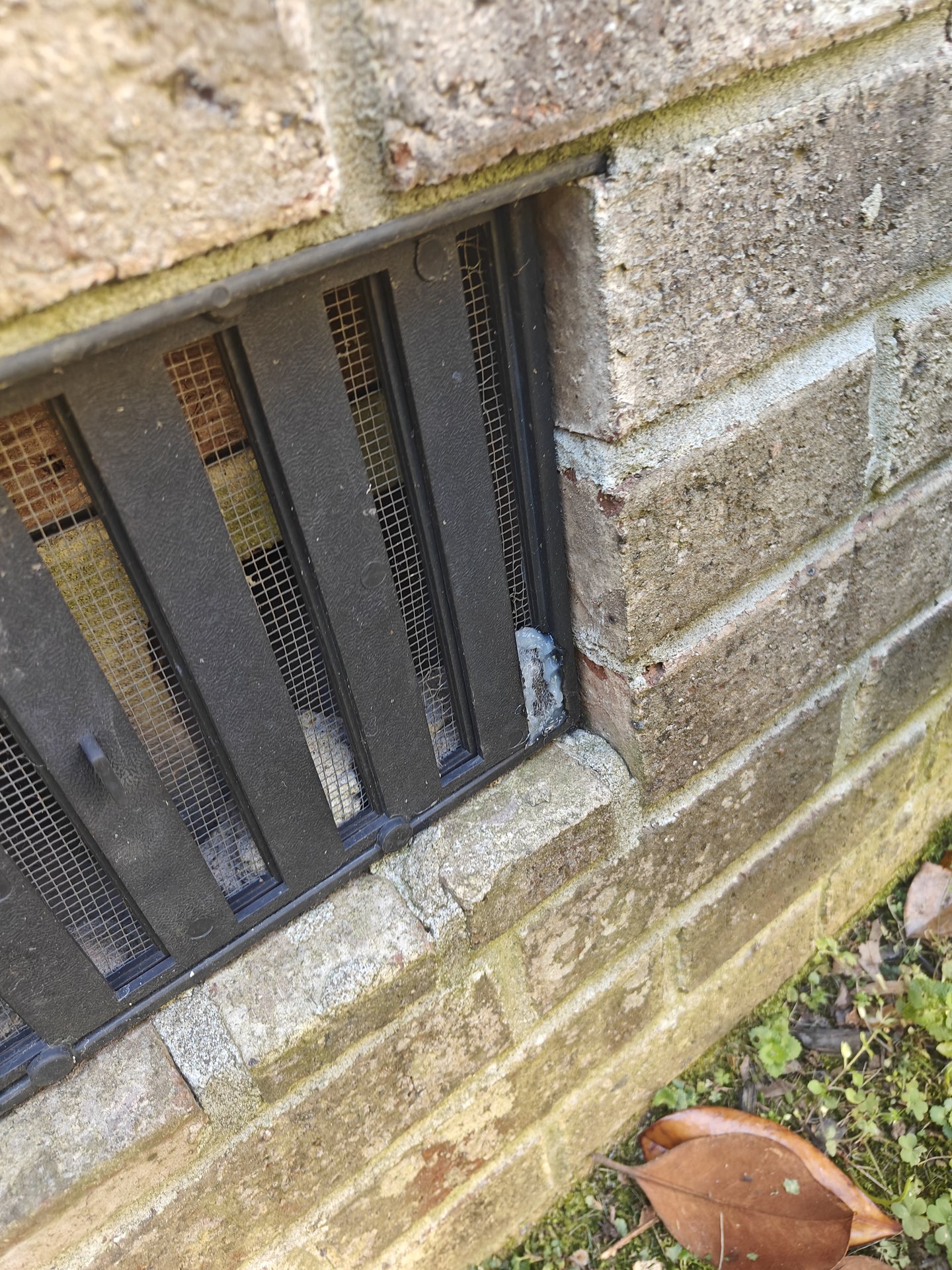 Crawlspace foundation vent with a metal exclusion screen installed