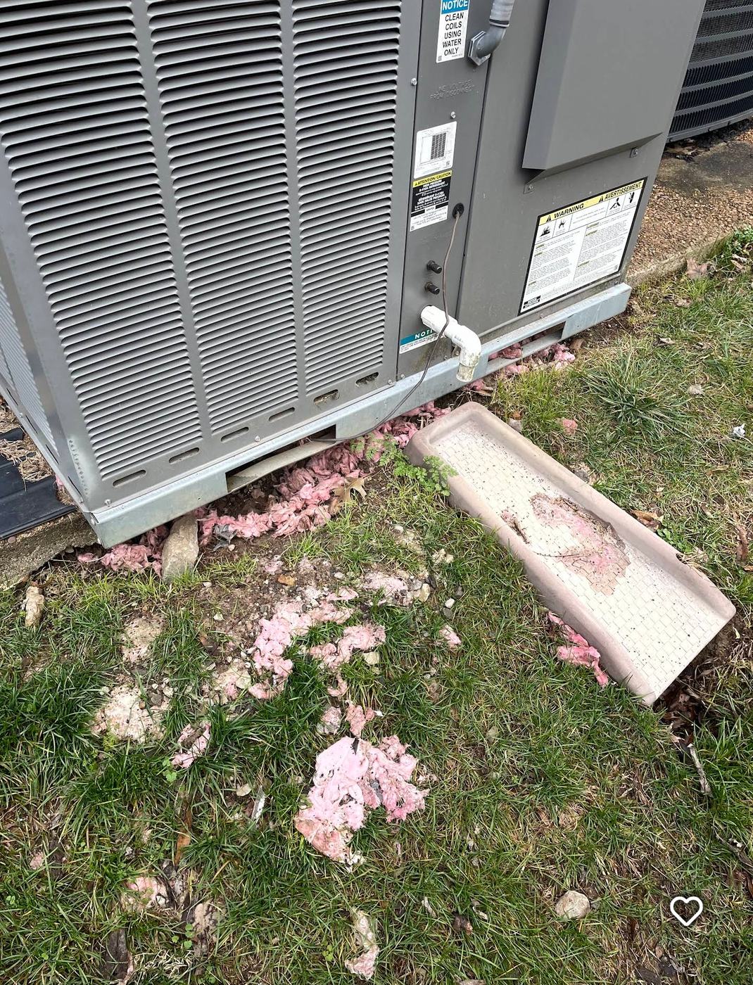 Rodent damage and chewed insulation at an HVAC unit in Columbia TN
