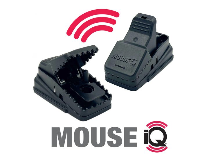 T-REX mouse traps